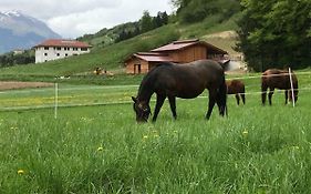 Agriturismo Maso Pertener -Adults Friendly-