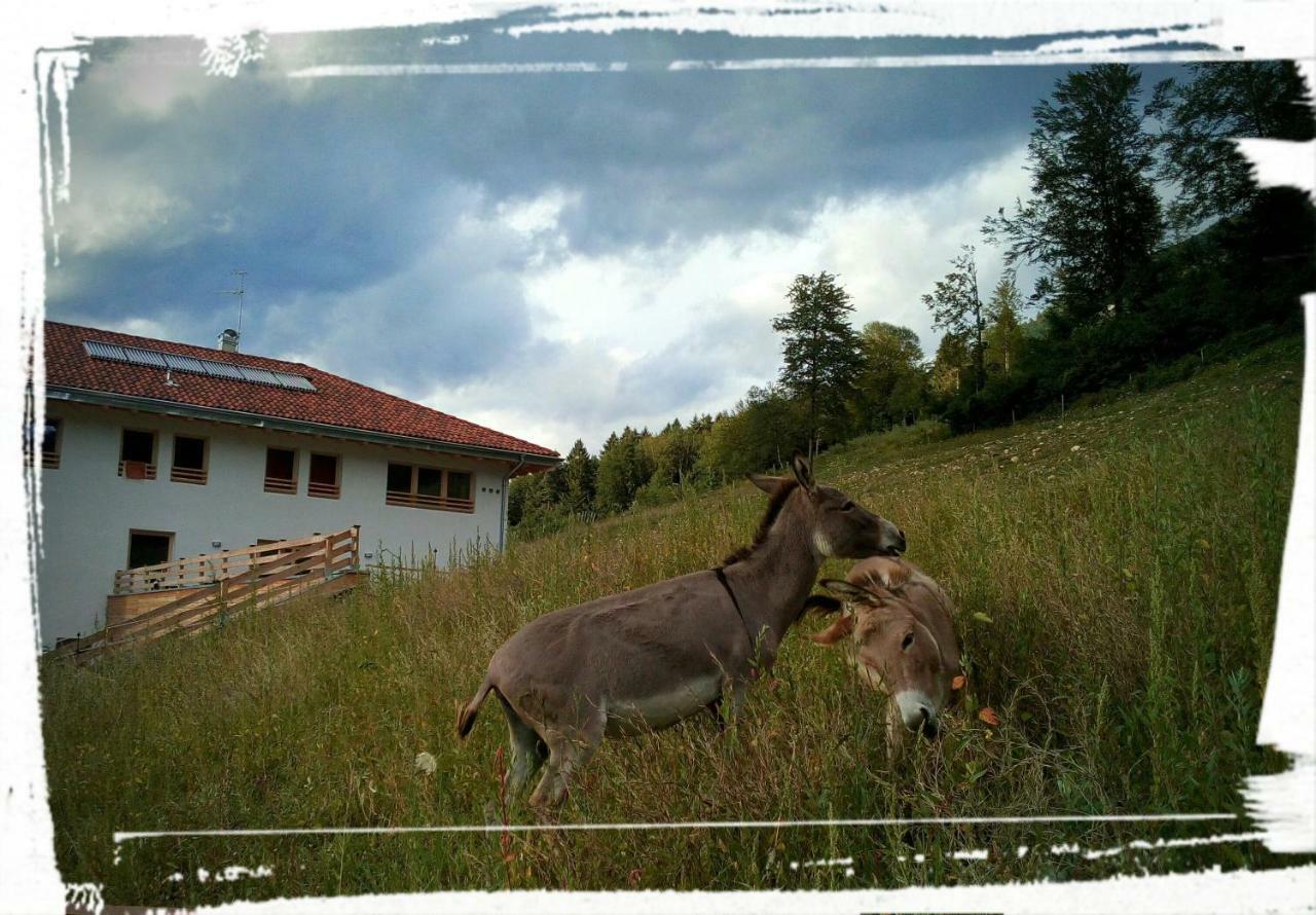 Agriturismo Maso Pertener -Adults Only- Villa Comano Terme Esterno foto