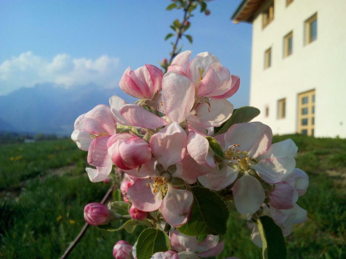 Agriturismo Maso Pertener -Adults Only- Villa Comano Terme Esterno foto